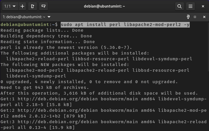 Install Perl in Debian