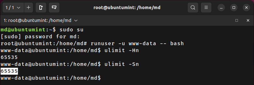 Verify File Descriptor Limits