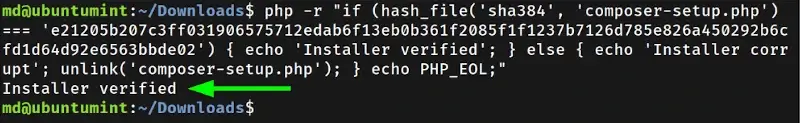 Verify PHP Composer Script