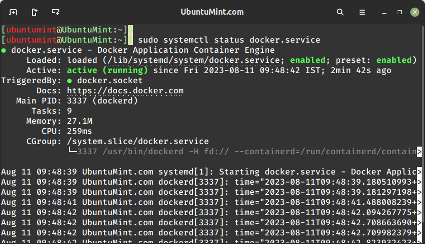 Check Docker Status