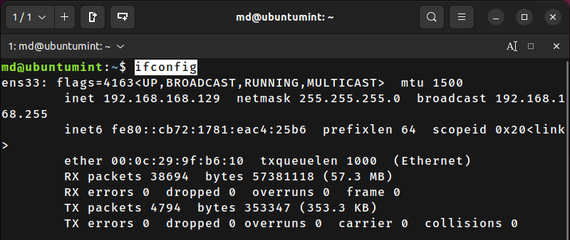 Check Ubuntu IP Address