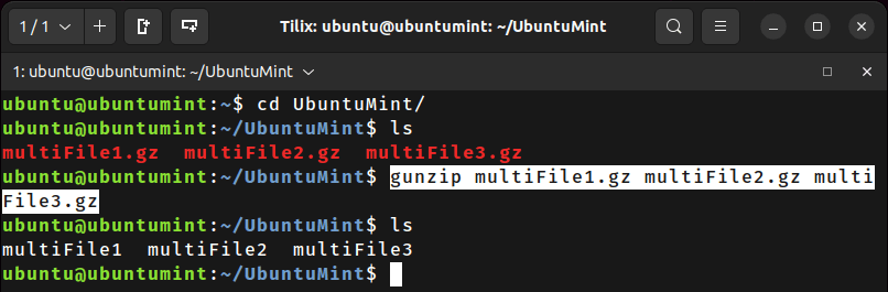 Extract Multiple Gz Files in Linux