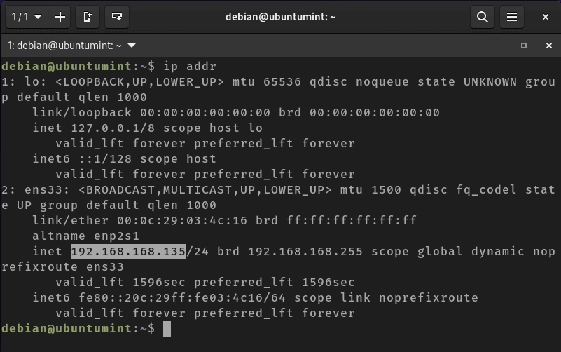 Find Linux Server IP Address