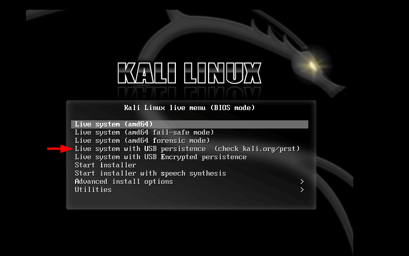 Install Kali Linux on USB