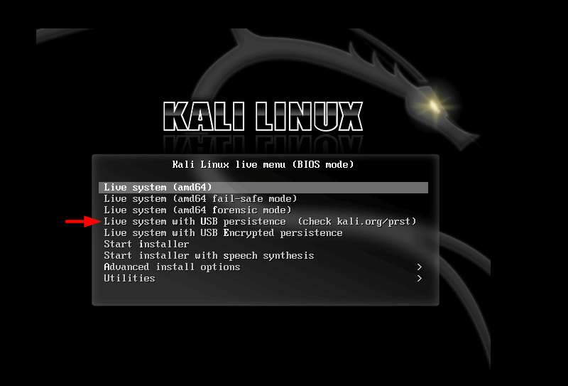 Kali Linux with USB Persistence