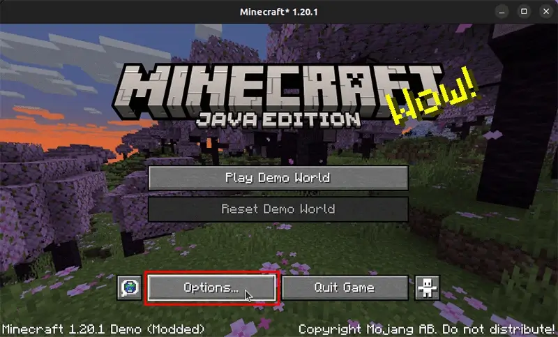 Minecraft Options