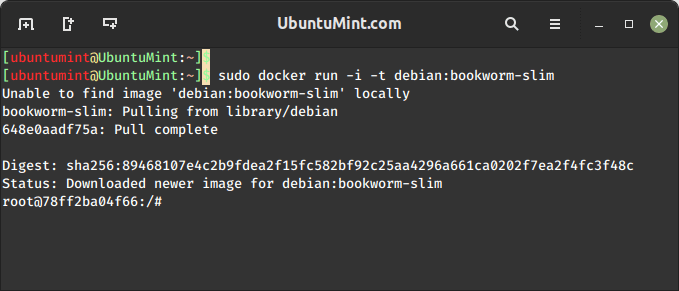 Run Docker Image