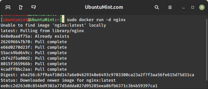 Run Docker in Detached Mode