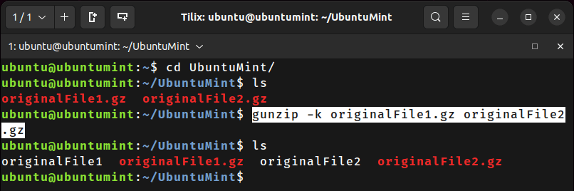 Unzip Gzip File by Keeping Original File