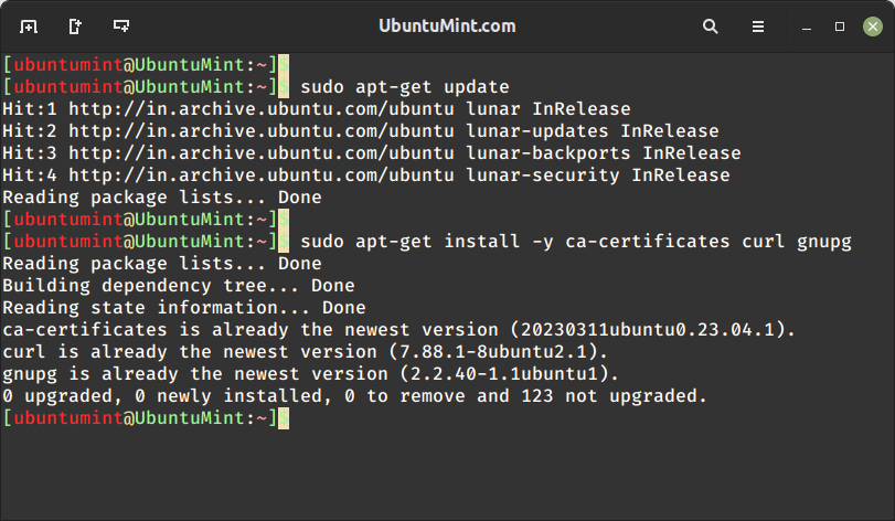 Update Ubuntu System