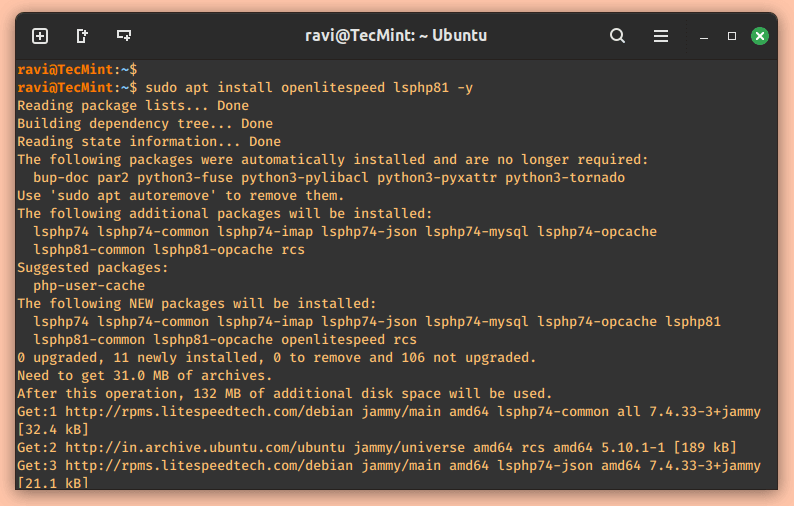 Install OpenLiteSpeed in Ubuntu